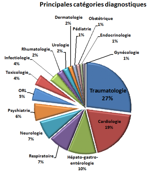 Principales cat?gories diagnostiqu?s en 2012